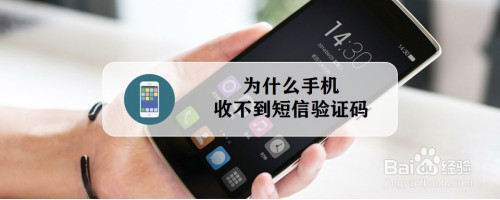 苹果小飞机收不到验证码-苹果手机下载小飞机为什么注册不了