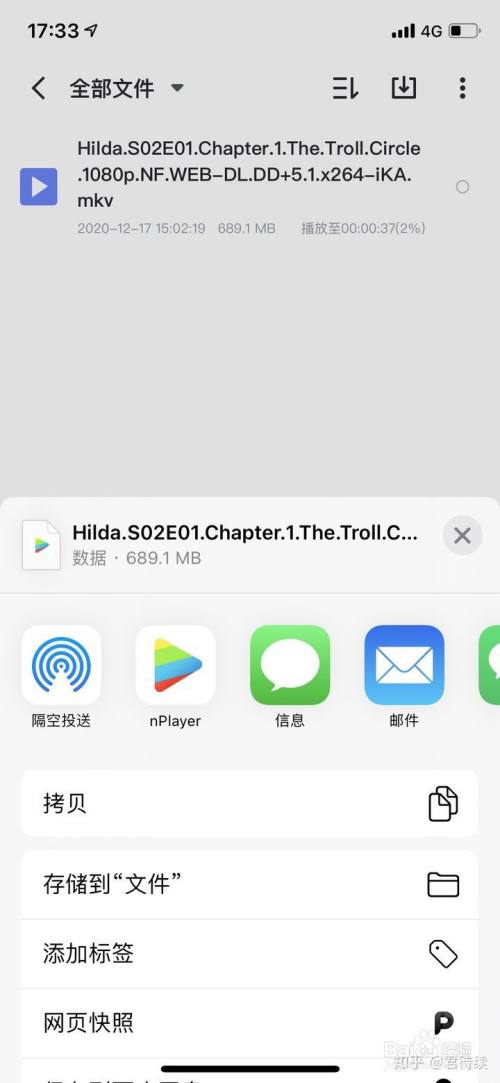 关于飞机下载中文版苹果手机怎么下载的信息
