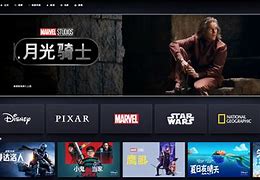 纸飞机翻墙官网-纸飞机app官网中文版