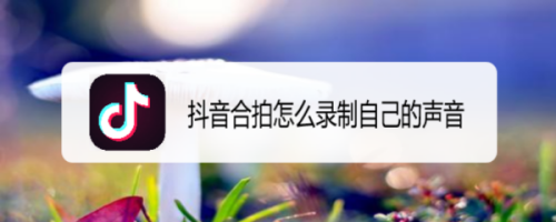 关于电报声音抖音怎么设置的信息