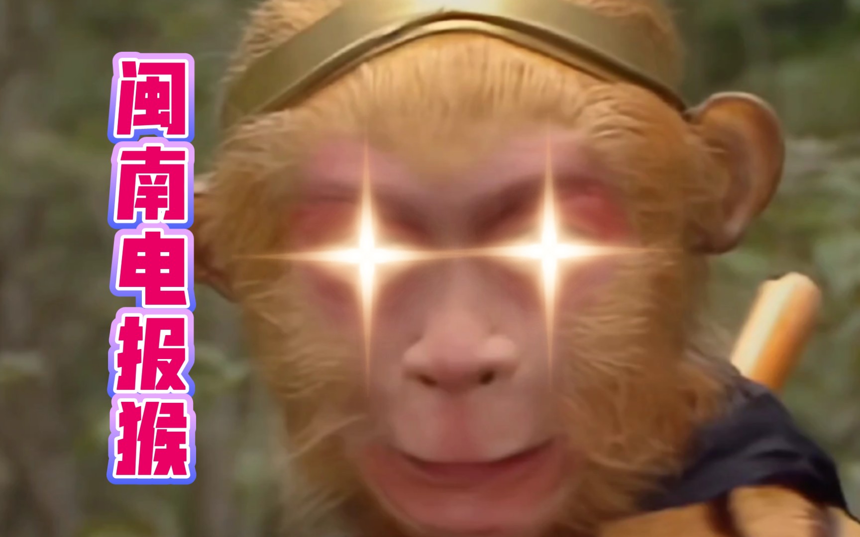 包含电报猴在哪看原视频的词条