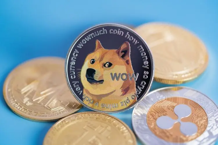 doge币-skydoge币