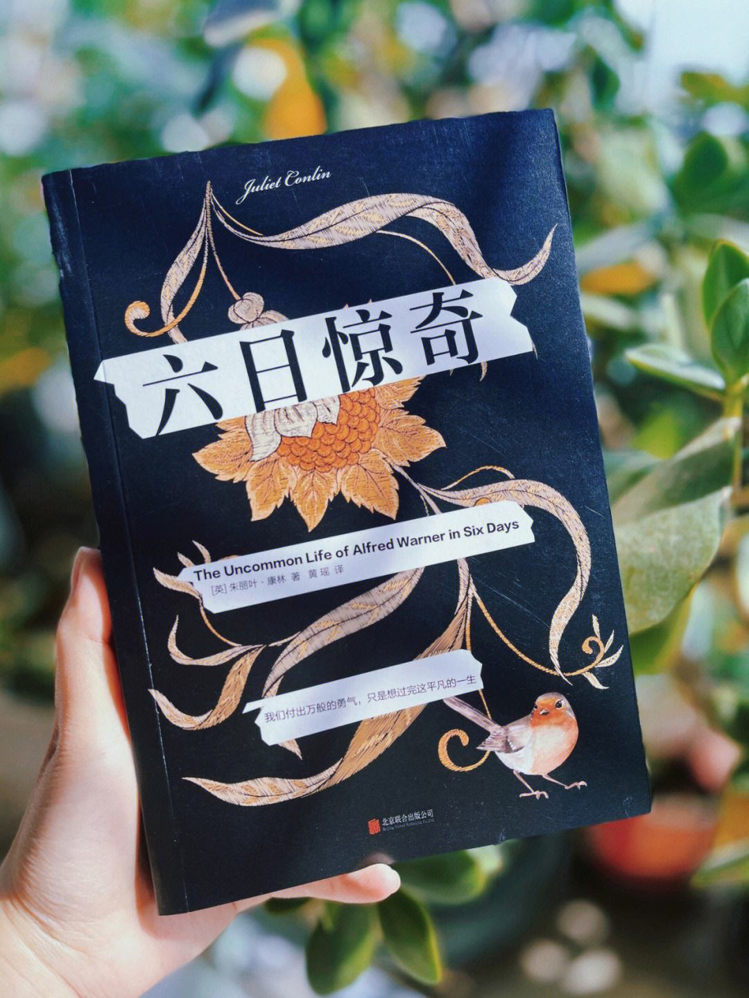 包含幻听有发电报的声音的词条