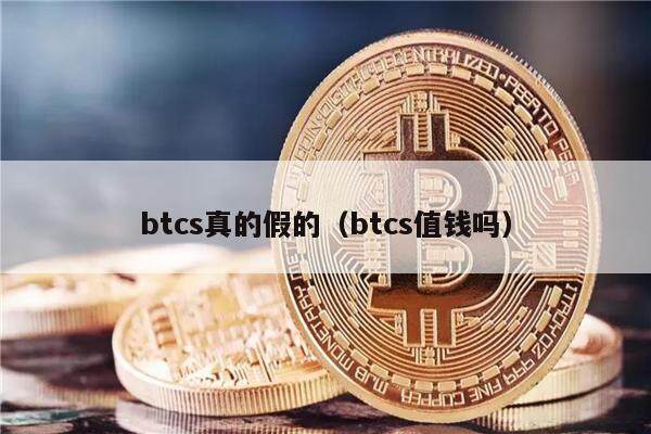 btcs-btc什么币