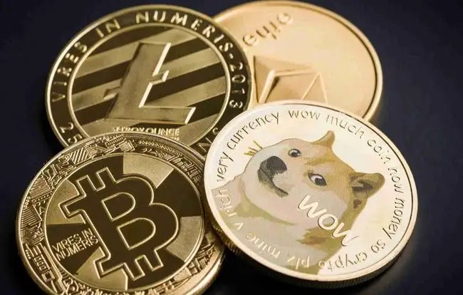 比特派doge-比特派冻结能量多少手续费才低