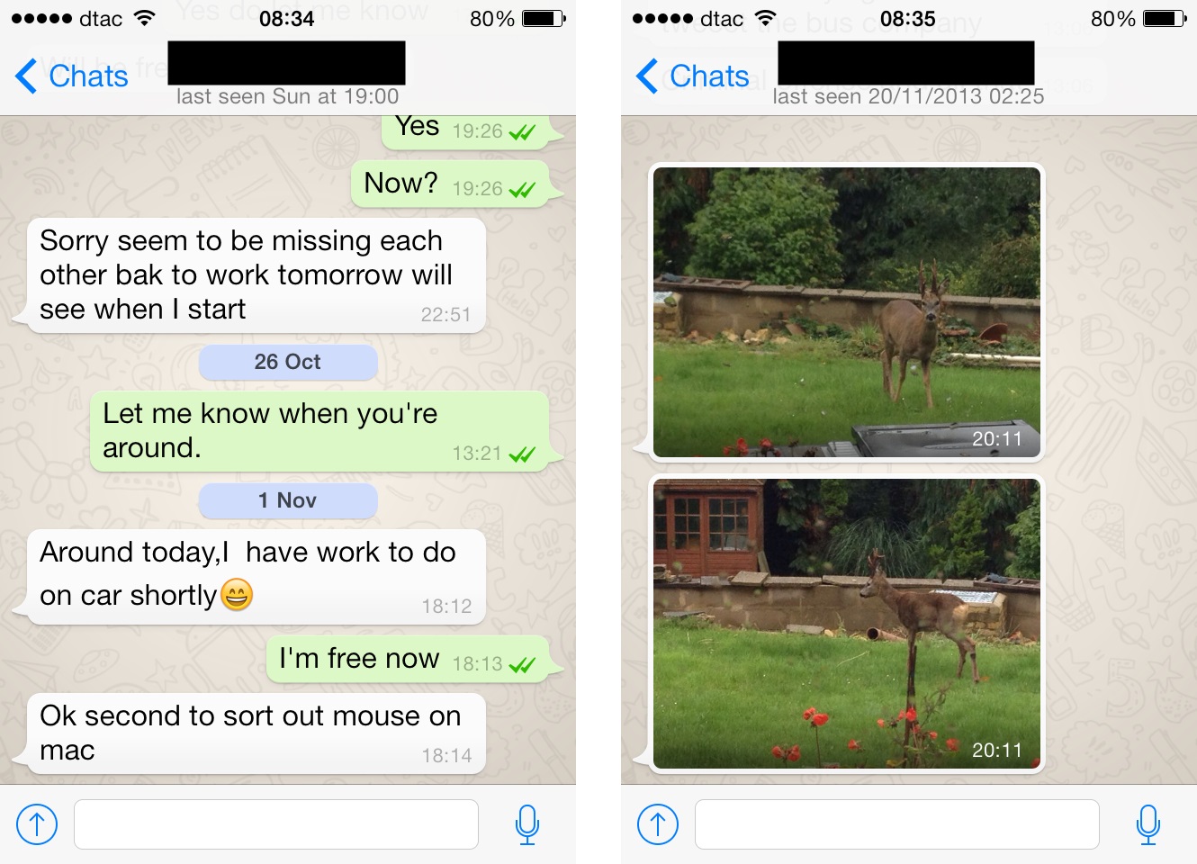 whatsapp2020安卓版下载-whatsapp2021安卓下载安装