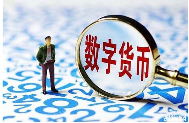 数字货币有哪些品种-数字货币都有什么品种