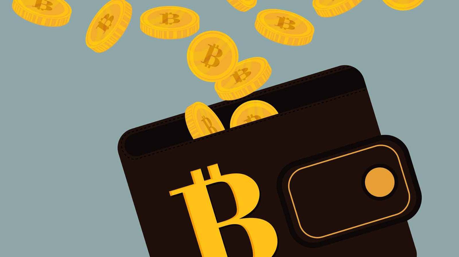 比特派钱包官网-比特派钱包官网app