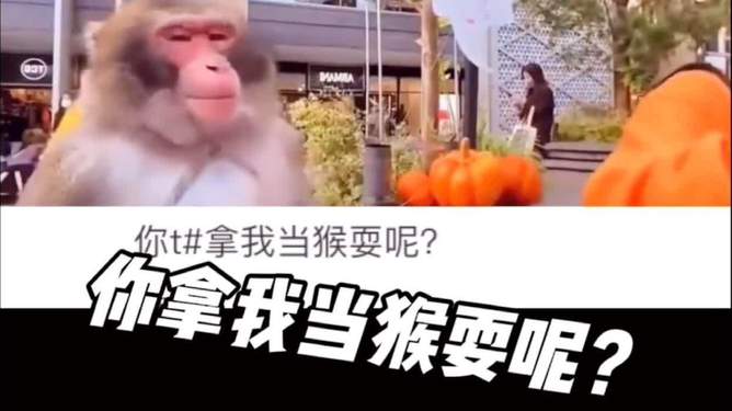 电报猴消音-电报猴无消音