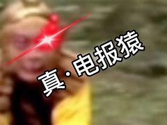花果山电报员骂人-花果山电报猿完整版