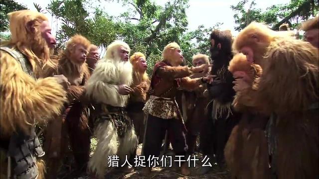 花果山电报猴原视频-花果山电报员搞笑视频