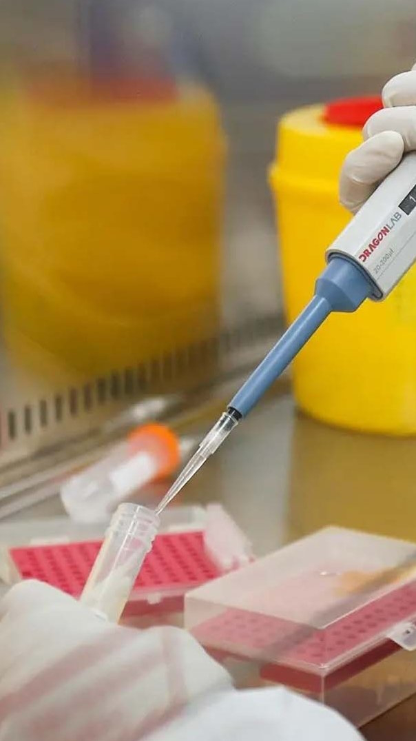 即日起不再发布每日疫情信息-即日起不再发布每日疫情信息的通知