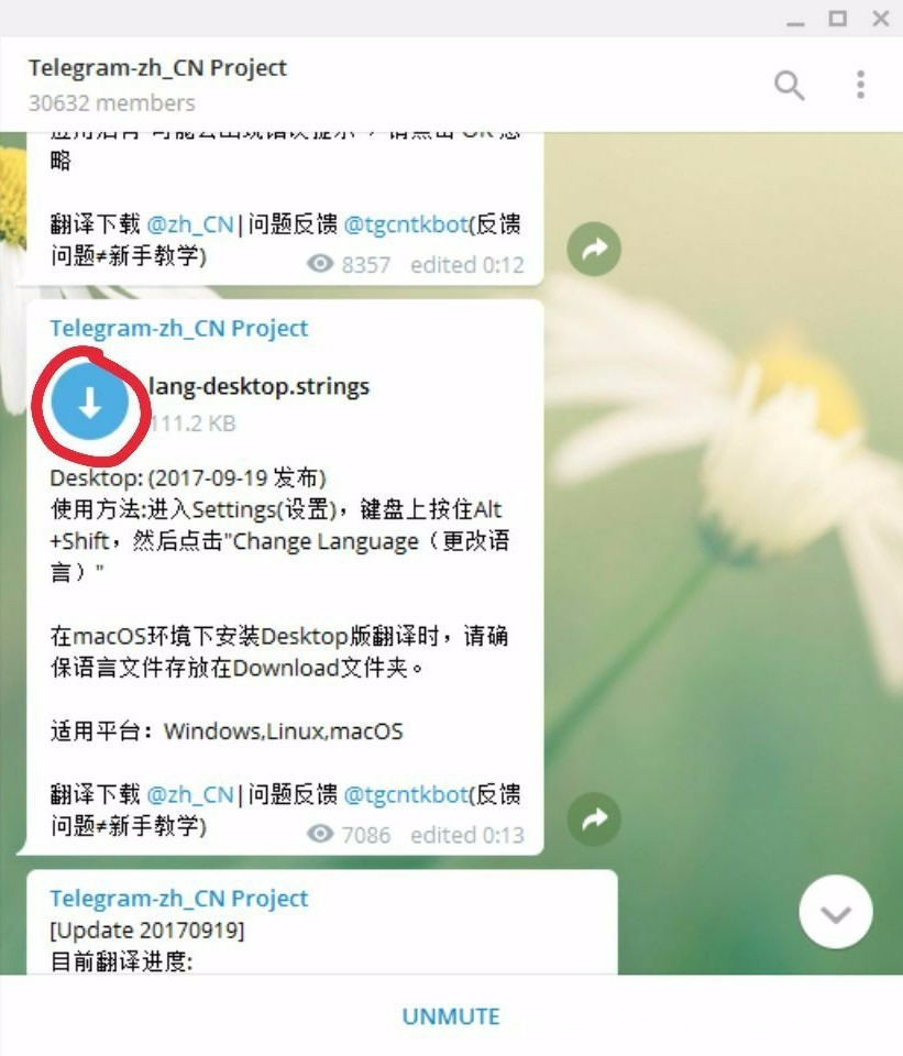 telegeram怎么找回账号-telegeram安卓下载v81