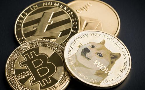 柴犬币未来发展前景-柴犬币2024年会涨到多少