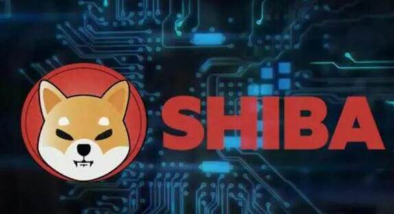 狗狗币钱包地址-狗狗币钱包地址在哪里