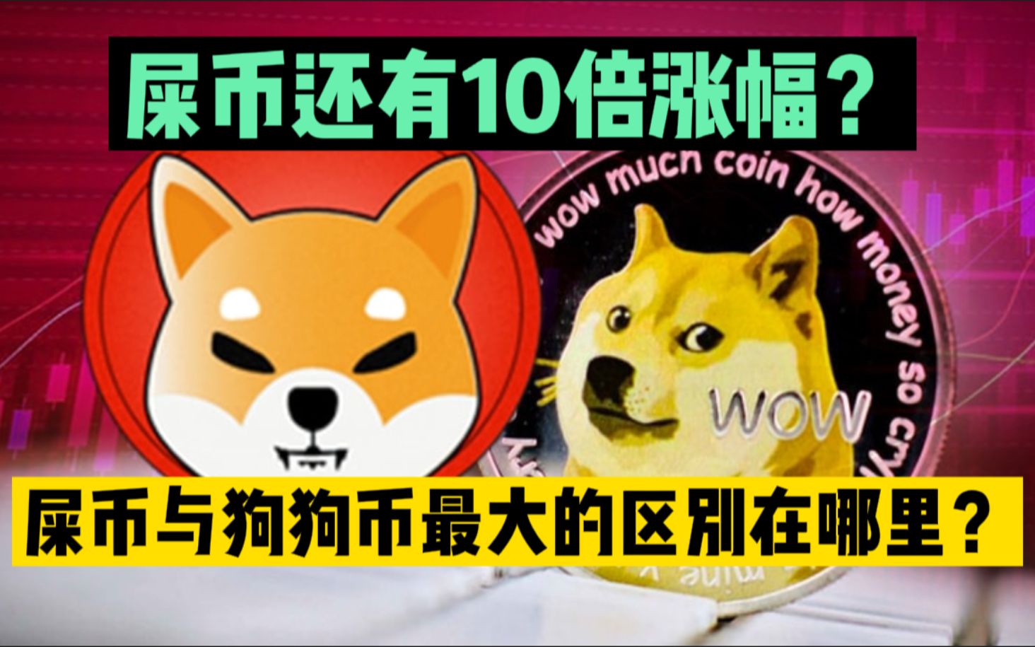 屎币涨了多少倍了-屎币能涨到01吗