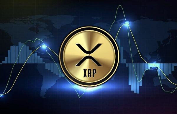 比特派是哪里的公司-比特派是哪里的公司啊