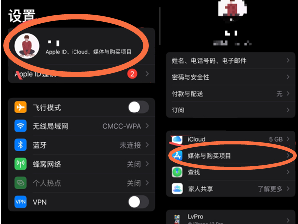applestore无法登录ID怎么办-apple store apple id无法登陆