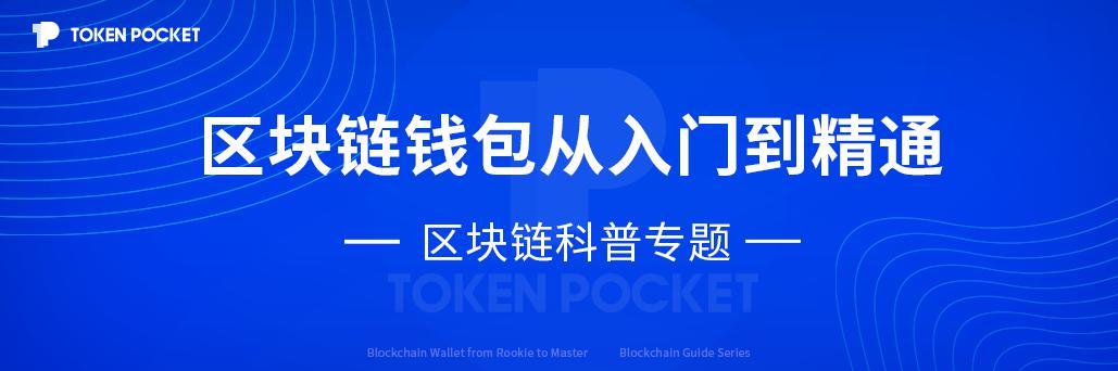 十大最安全区块链钱包下载