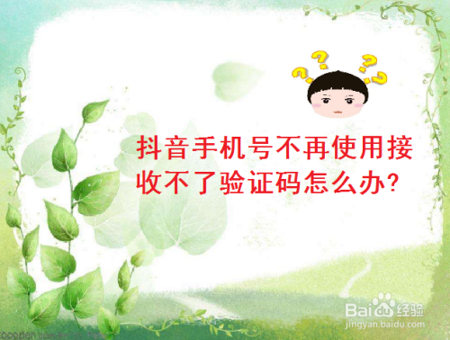 纸飞机接不到验证码