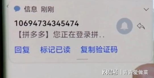 纸飞机接不到验证码