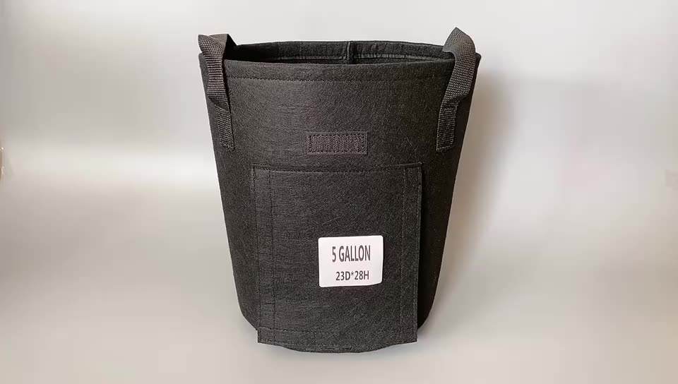 potato wallet