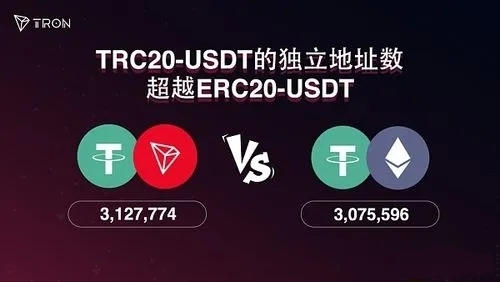 usdt钱包地址怎么填,usdt收款地址怎么填写