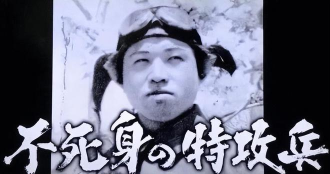 电报猿骂人原视频,电报猴去掉电报特效原视频