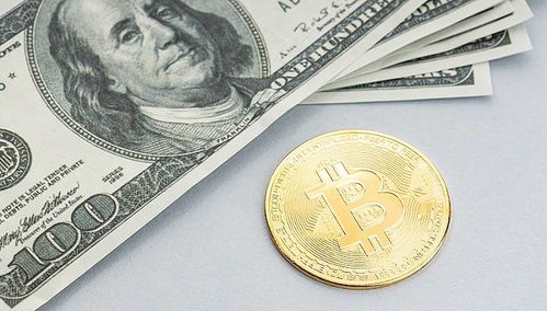 usdc是什么币种,usda是什么币什么价