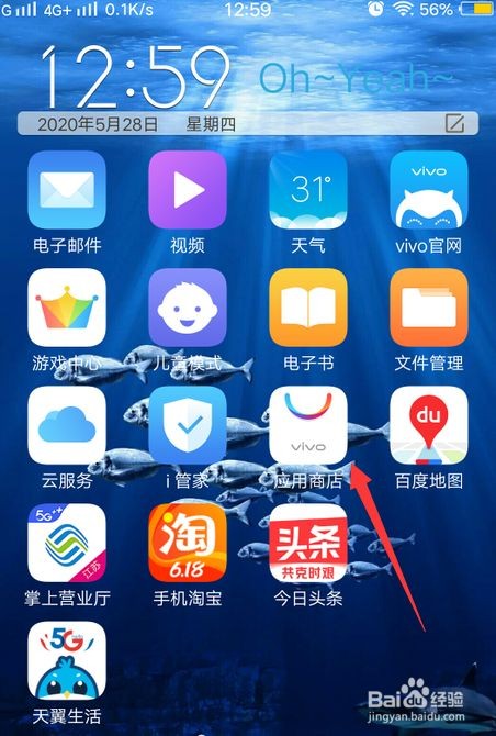 应用商店app下载vivo,应用商店APP下载不了怎么办