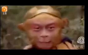 满级电报员语录,满级电报员是什么梗