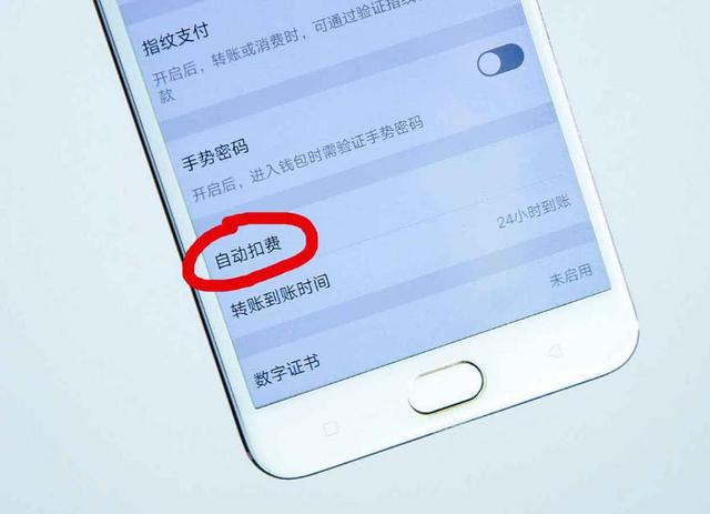 小狐狸钱包怎么使用指纹支付,小狐狸钱包怎么使用指纹支付的