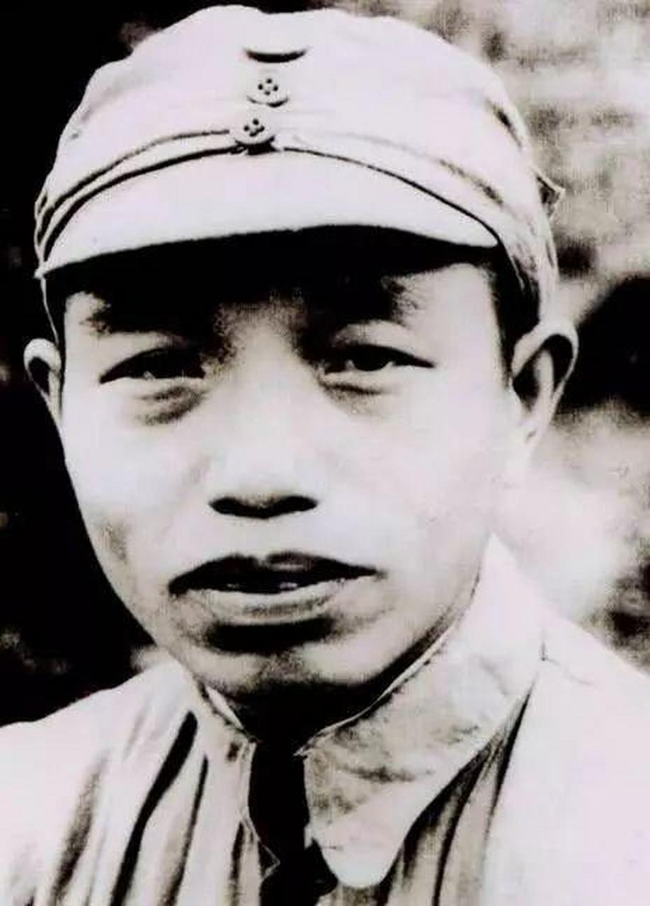 电报翻译包,电报自动翻译插件