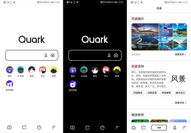 包含夸克搜索神秘入口的词条
