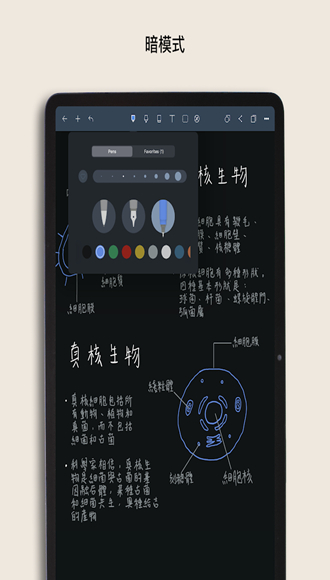 飞语app做单安全吗,飞语聊天软件是不是真的