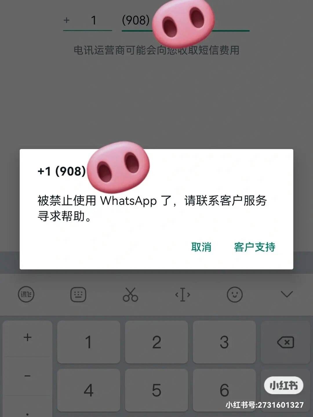 whatsapp读什么,whatsapp怎么读英语发音