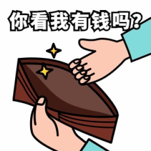 钱包金融的钱还能要回来吗,钱包金融的钱还能要回来吗安全吗