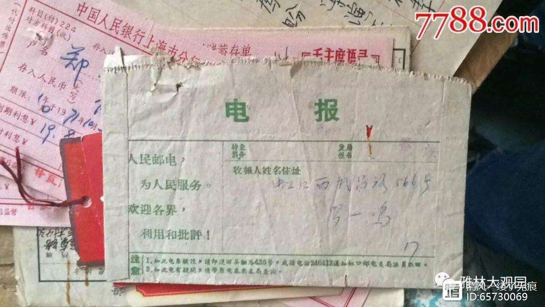 满级电报视频,满级电报视频在哪看
