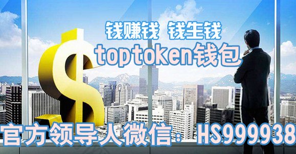 toptoken钱包怎么玩,toptoken钱包转账手续费