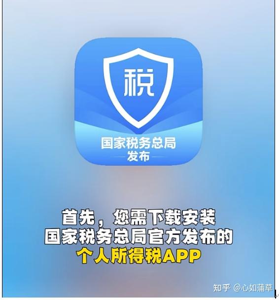 下载个人所得税,下载个人所得税app