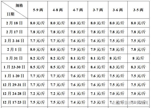 doge价格今日行情,DOGE价格今日行情美元