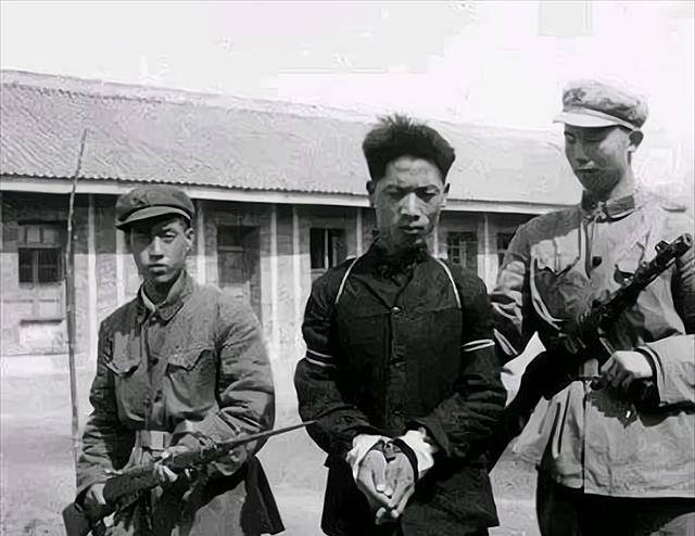 小狐狸钱包官网,狐狸钱包app官网