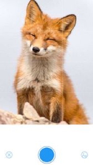 关于metamask安卓下载5.13的信息
