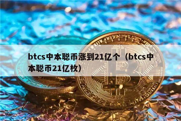 中本聪币官网下载,中本聪币app下载
