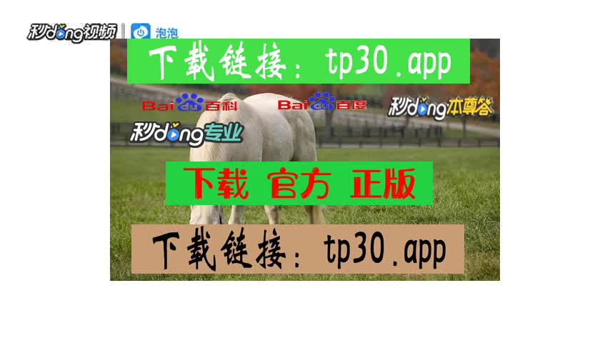 tp钱包企业版下载,官方tp钱包免费下载