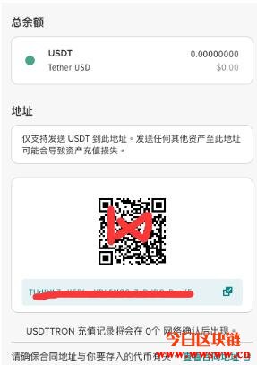 usdt充值方法,usdt怎么充值到个人账户