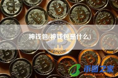 币圈公认最安全的钱包,币圈公认最安全的钱包中文