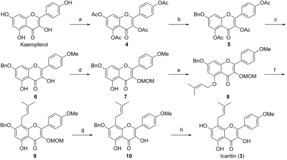 acetone,acetone body