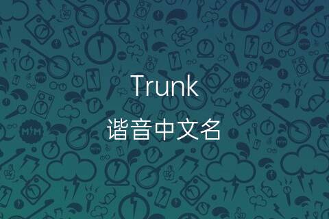 英文音译中文,英文音译中文生成器