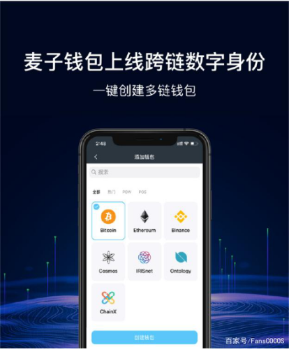 单链钱包和多链钱包区别,单链钱包和多链钱包区别大吗